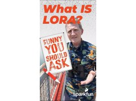 מדריך מצחיק שאתה צריך לשאול - מה זה LoRa?