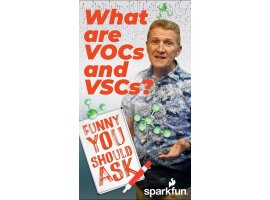 מדריך מצחיק שאתה צריך לשאול - מה זה VOCs ו-VSCs?