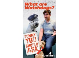 מדריך מצחיק שאתה צריך לשאול - מה זה Watchdog?