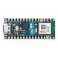 כרטיס פיתוח Arduino Nano ESP32 ללא מחברים