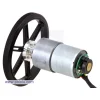 מנוע 37Dx52L מהירות 350rpm @ 12V עם מקודד - גרסה קודמת