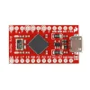 כרטיס פיתוח Arduino Pro Micro 5V/16MHz - גרסה קודמת