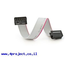 תמונה של מוצר כבל שטוח עם מחברי 2x5 בשני הצדדים