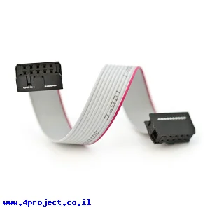 כבל שטוח עם מחברי 2x5 בשני הצדדים