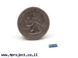 תמונה של מוצר אנטנה 2.4GHz קרמית 6.5x2.2mm