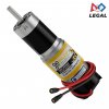 מנוע 32Dx124L מהירות 60rpm @ 12V עם מקודד - סדרה 5202 - ציר D