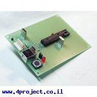 כרטיס פיתוח PIC 28 Pin עם USB