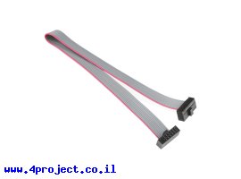 תמונה של מוצר כבל שטוח עם מחברי 2x5 בשני הצדדים - מרווח 1.27 מ"מ