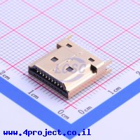 Jing Extension of the Electronic Co. 920-867A2021Y10100