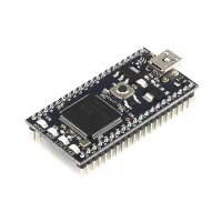 כרטיס פיתוח mbed NXP LPC1768
