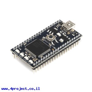 כרטיס פיתוח mbed NXP LPC1768