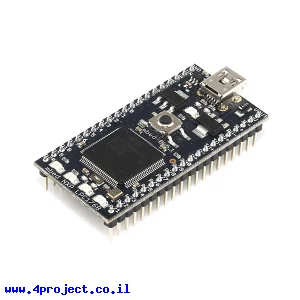 כרטיס פיתוח mbed NXP LPC1768