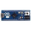 כרטיס פיתוח Arduino Micro בלי מחברים