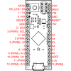 כרטיס פיתוח Arduino Micro בלי מחברים