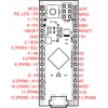 כרטיס פיתוח Arduino Micro בלי מחברים