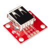 כרטיסון עם מחבר USB-A נקבה