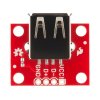 כרטיסון עם מחבר USB-A נקבה