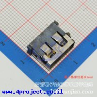 Jing Extension of the Electronic Co. 913-361A2021S10200
