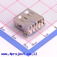 Jing Extension of the Electronic Co. 904-142B2031S10100