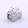 Jing Extension of the Electronic Co. 921-111A1010D10200