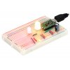 לד 5 מ"מ RGB מט עם דוחף זרם WS2811 - חבילה של 10