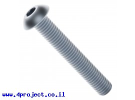 תמונה של מוצר בורג אלן ראש כפתור M4x25mm - חבילה של 25