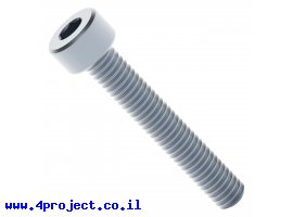 תמונה של מוצר בורג אלן M4x25mm - חבילה של 25