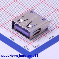 Jing Extension of the Electronic Co. 916-262A1172Y10210