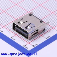 Jing Extension of the Electronic Co. 916-262A1022Y10210