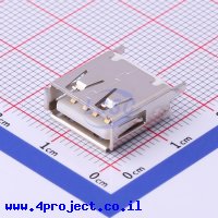 Jing Extension of the Electronic Co. 916-252A1012Y10210