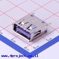 Jing Extension of the Electronic Co. 916-252A1173Y10210