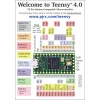 כרטיס פיתוח Teensy 4.0 - עם מחברים