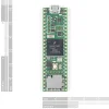 כרטיס פיתוח Teensy 4.1 - ללא מחברים