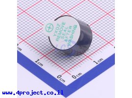 תמונה של מוצר  YUEXIN TMB12A24