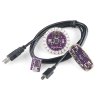 כרטיס פיתוח Arduino - ערכת התחלה ל-LilyPad