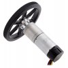 מנוע LP 25Dx63L מהירות 1300rpm @ 6V עם מקודד