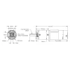 מנוע 36Dx125L מהירות 60rpm @ 12V עם מקודד - סדרה 5203 - ציר REX קצר