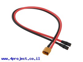 תמונה של מוצר מתאם מחבר XT30 זכר ל-Bullet 3.5mm נקבה - כבל 300 מ"מ
