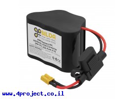 תמונה של מוצר סוללה נטענת - NiMH 6V/3000mAh