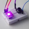 לד (RGB - SMD (WS2812B על כרטיסון