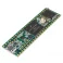 כרטיס פיתוח Teensy 3.5 - ללא מחברים
