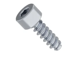 תמונה של מוצר בורג אלן לפלסטיק M4x12mm - חבילה של 25