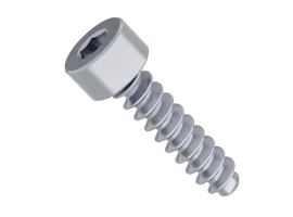 תמונה של מוצר בורג אלן לפלסטיק M4x16mm - חבילה של 25
