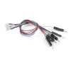 מחבר JST-ZHR 6-pin לזכר Dupont