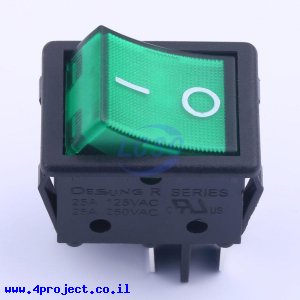 D-SWITCH R-6-210-C5L-BG-220V