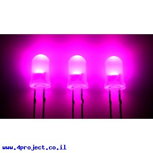 לד 5 מ"מ בסיסי - ורוד
