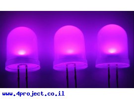 תמונה של מוצר לד 10 מ"מ בסיסי - ורוד