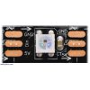 רצועת לדים Addressable RGB - אורך 1 מטר, 60 לדים (SK6812)