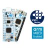 כרטיס פיתוח NUCLEO-F042K6