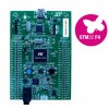 כרטיס פיתוח 32F411EDISCOVERY